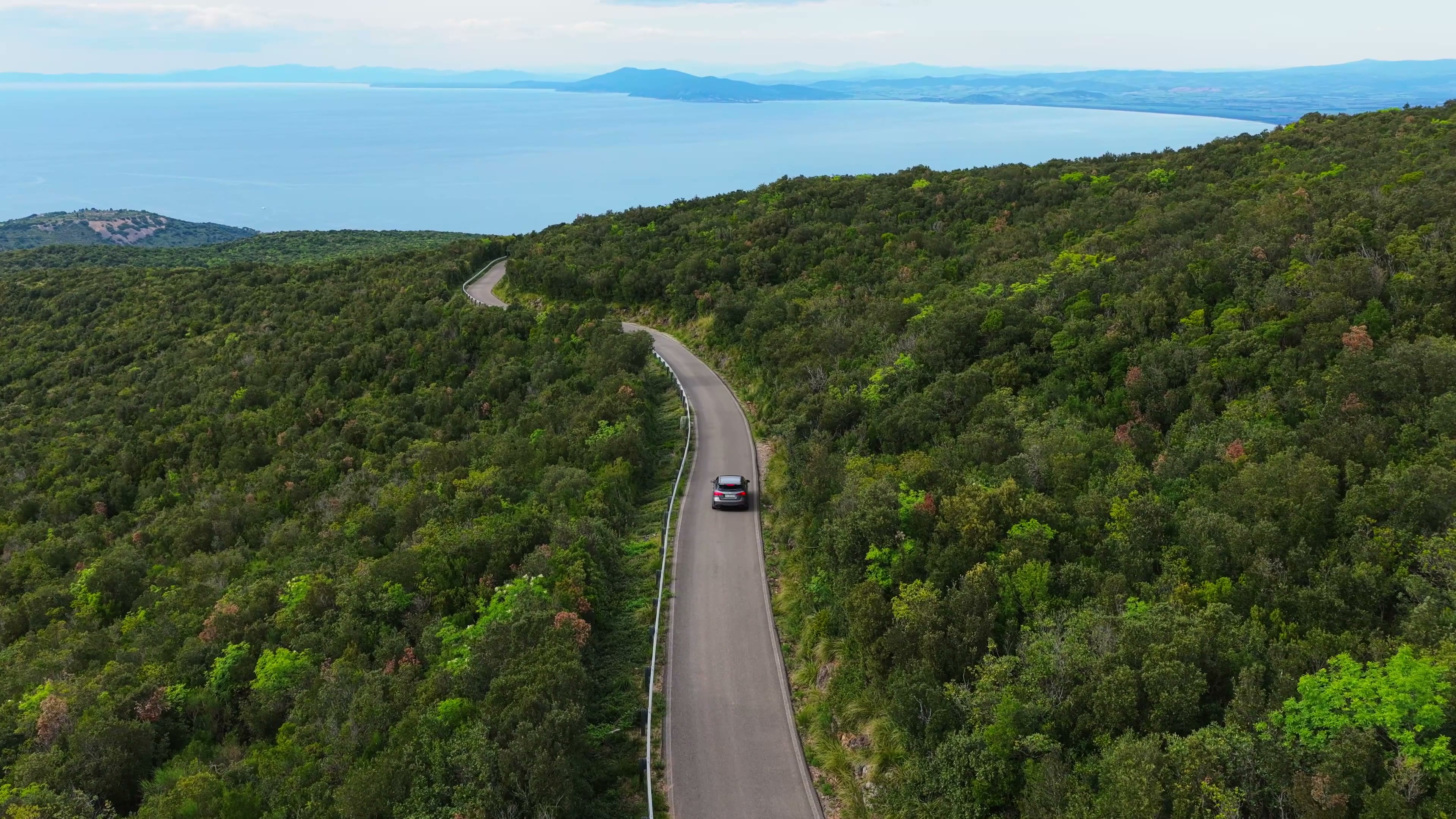 Car in nature